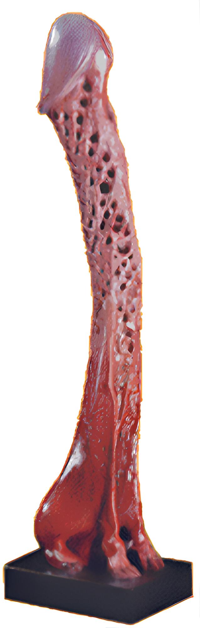 Milan N&aacute;pravn&iacute;k: Der Bischofsstab, 1983